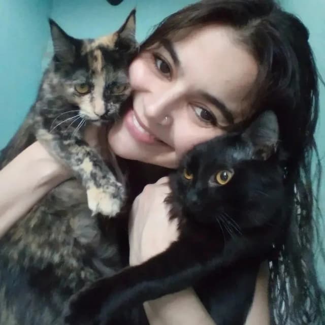 Cat Sitter JF - Bianca