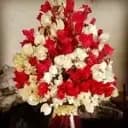 Ecoflores
