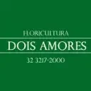 Floricultura Dois Amores