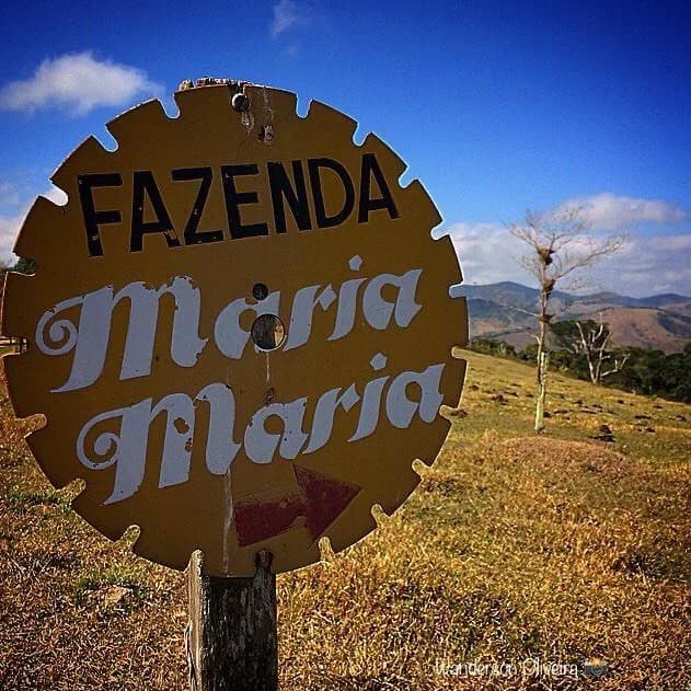 Hotel Fazenda Maria Maria
