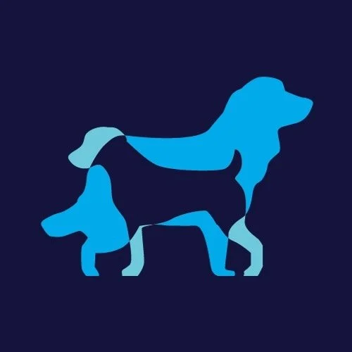 Lucas Bonoto | Comportamento Canino