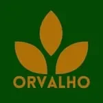 Orvalho