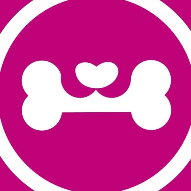 Pet Chanel | Creche, Hotel, Banho e Tosa