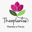 Theoplantas | Plantas e Flores